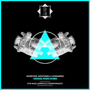 Voiage From Mars (CharryProject Remix)