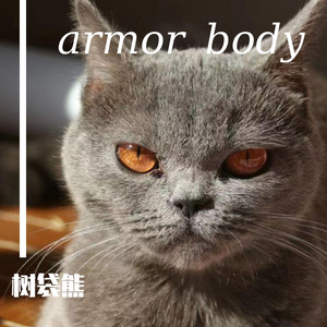 Armor body