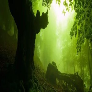 Flamenkito Headlight