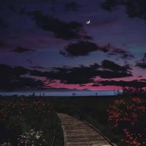 这歌写我没写你