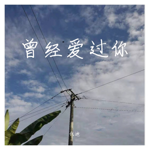 曾经爱过你（翻自 杨主任Revive）