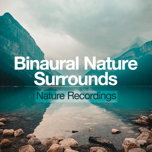 Birds on Tree Branches