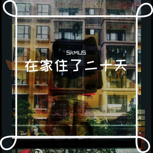 在家住了二十天