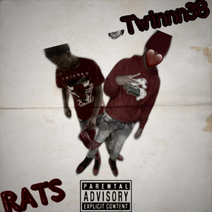 Rats