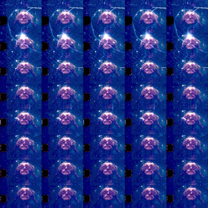 Sbsd (So Beautiful So Dutiful)