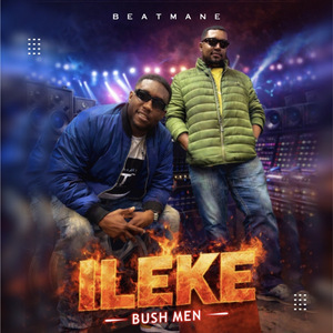 Ileke