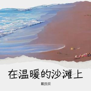 在温暖的沙滩上