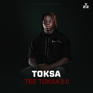 Tee toksa 2.2