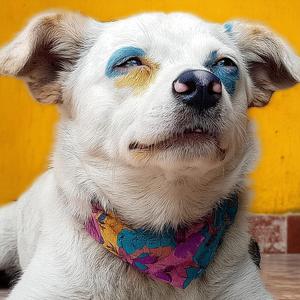 听, 我在黑夜里为你哭泣