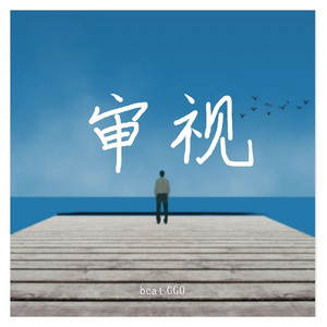 审视