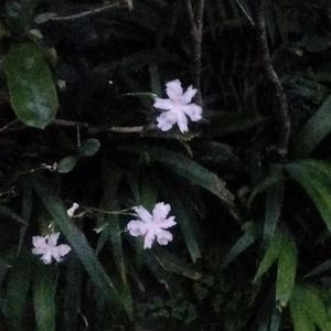 WANT YOU(prod by Dawn)