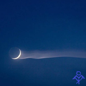 月光，我的月光