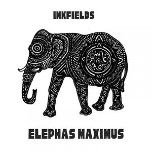 Elephas Maximus
