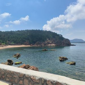 仙人掌语