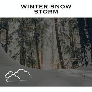Snowstorm Sounds - No Fade