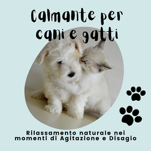 Musica rilassante di sottofondo