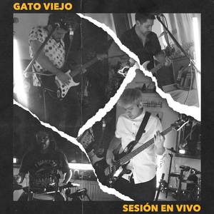 Gato (Live - Cover de Mecánica Popular)