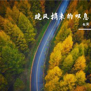 随波飘荡