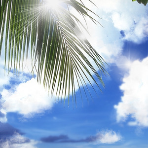 ポケベル風サウンド4 (着メロ)