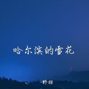 哈尔滨的雪花