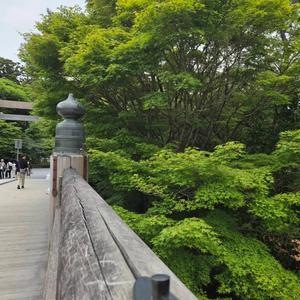 風が運ぶ未来(World Peace Song)