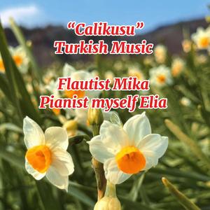Calikusu Turkish Music