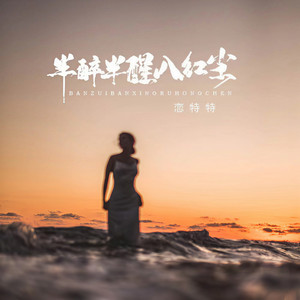 半醉半醒入红尘 (彭锐DJ版伴奏)