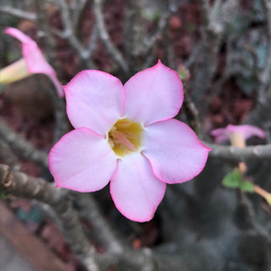 《反正》词曲唱 赵鑫