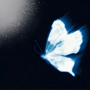 不苦（合唱版）（肖言 remix）