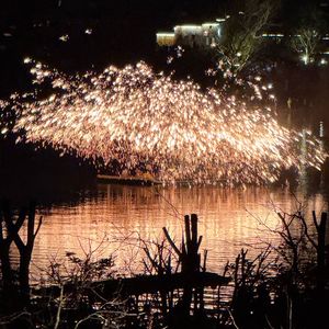 猫的作息时间表