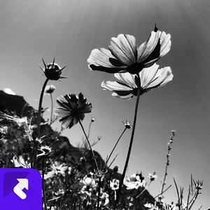 春日阳光如此耀眼