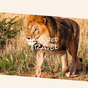 Hundred Travel