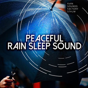 Rain at the Treeline