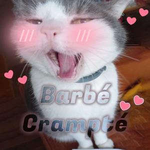 Barbé Crampté