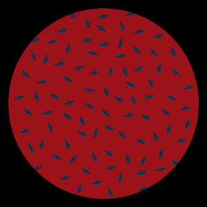 Occult (Original Mix)