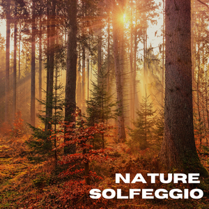 Whispering Solfeggio Winds