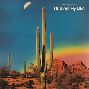 I B U (All My Life)