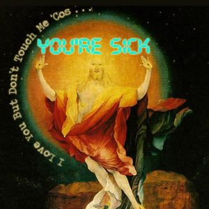 I Love You But Don't Touch Me Cos You're Sick (Radio Edit)