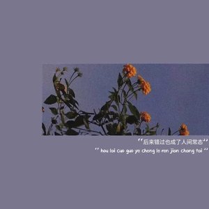 夢灯籠(纯音乐)