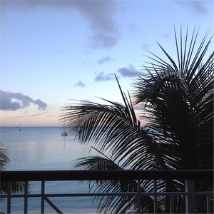 Just Go (feat. Brianna)