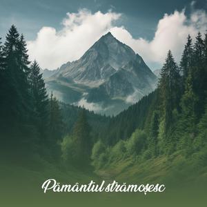 Pământul Strămoșesc