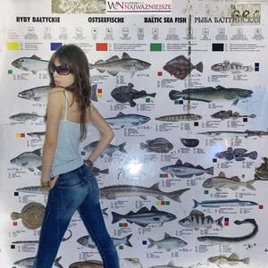 Miss Puffer Fish (feat. Iryn Rose)