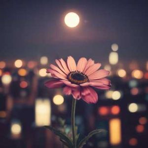 愿2025少一些辛苦