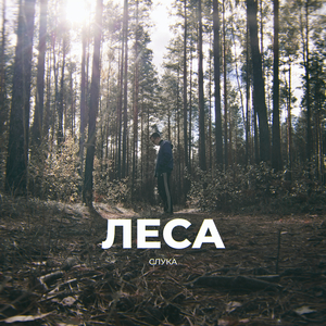 Леса
