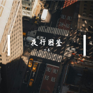 秋雅通关指南