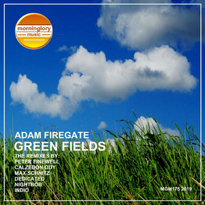Green Fields (Max Schnitz Electronica Remix)