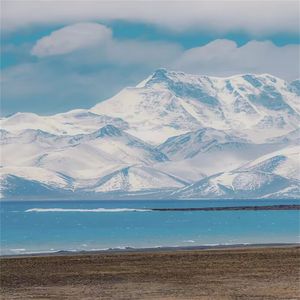 最佳反感男嘉宾