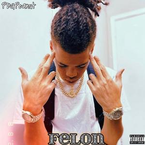 Felon (Explicit Version)