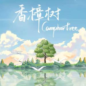 香樟树/Camphor tree