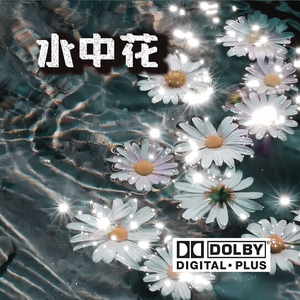 水中花 伴奏
